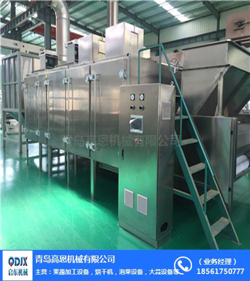 高恩机械 引领行业创新，微波食品烘干设备的高效干燥解决方案