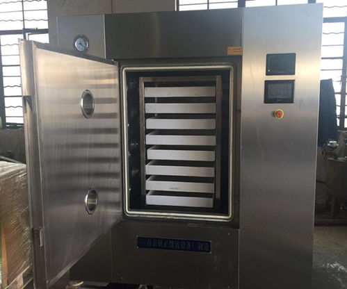 郑州微波真空设备与研正干燥设备 专业商家推荐与微波干燥技术解析