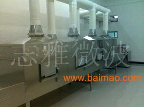 新型工业微波食品干燥设备 革新食品加工的技术先锋