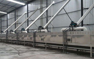 微波干燥设备 高效赋能粉状物品处理的新利器