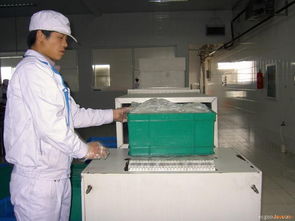 通用型高开口微波干燥杀菌设备 型号规格与价格解析