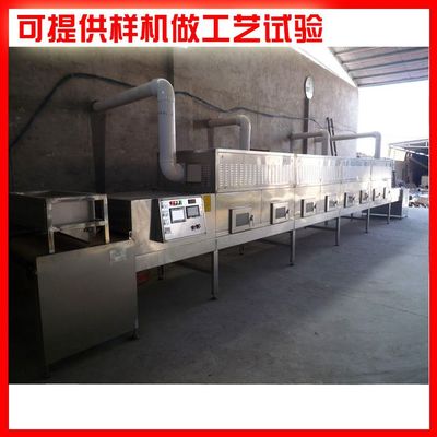 创新科技赋能传统美食——东北烤冷面微波杀菌与干燥设备的应用与发展